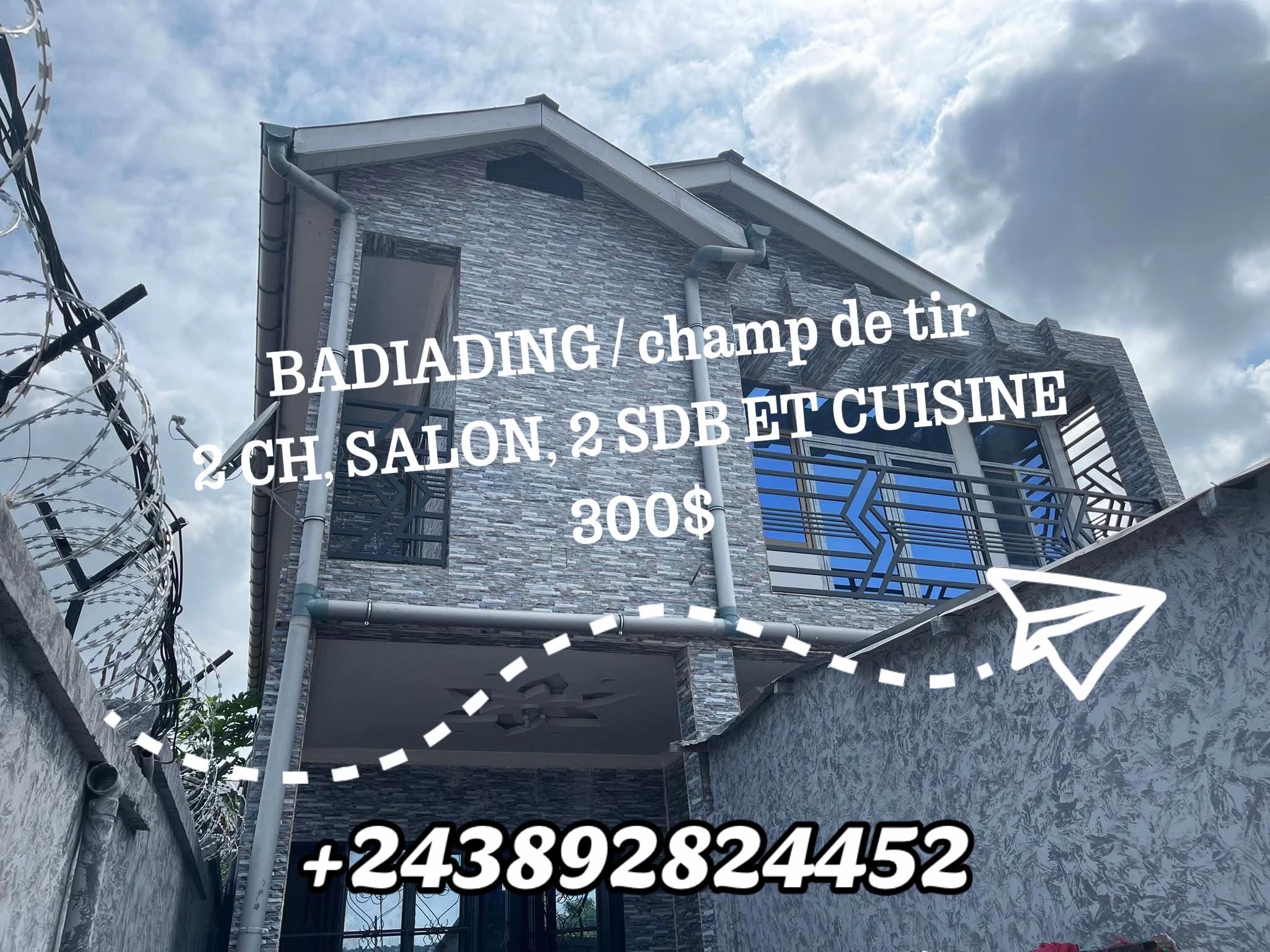 Appartement de 2 chambres à louer à UPN, Ngaliema