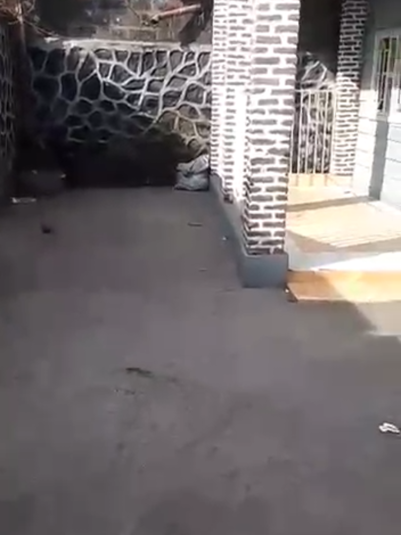 Maison de 3 chambres à louer à Himbi 1, Goma