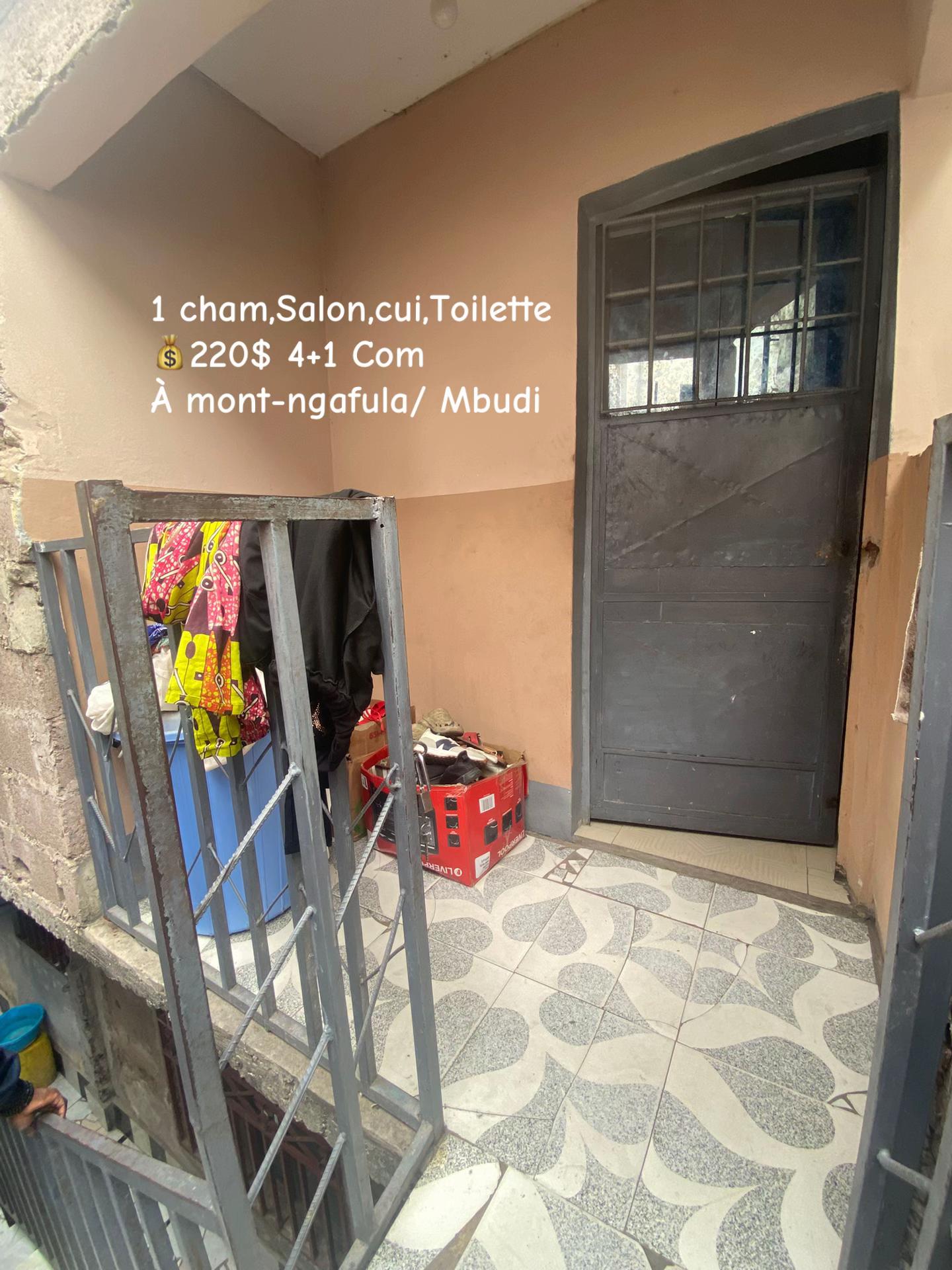 Appartement de 1 chambre à louer à Mbudi, Mont Ngafula