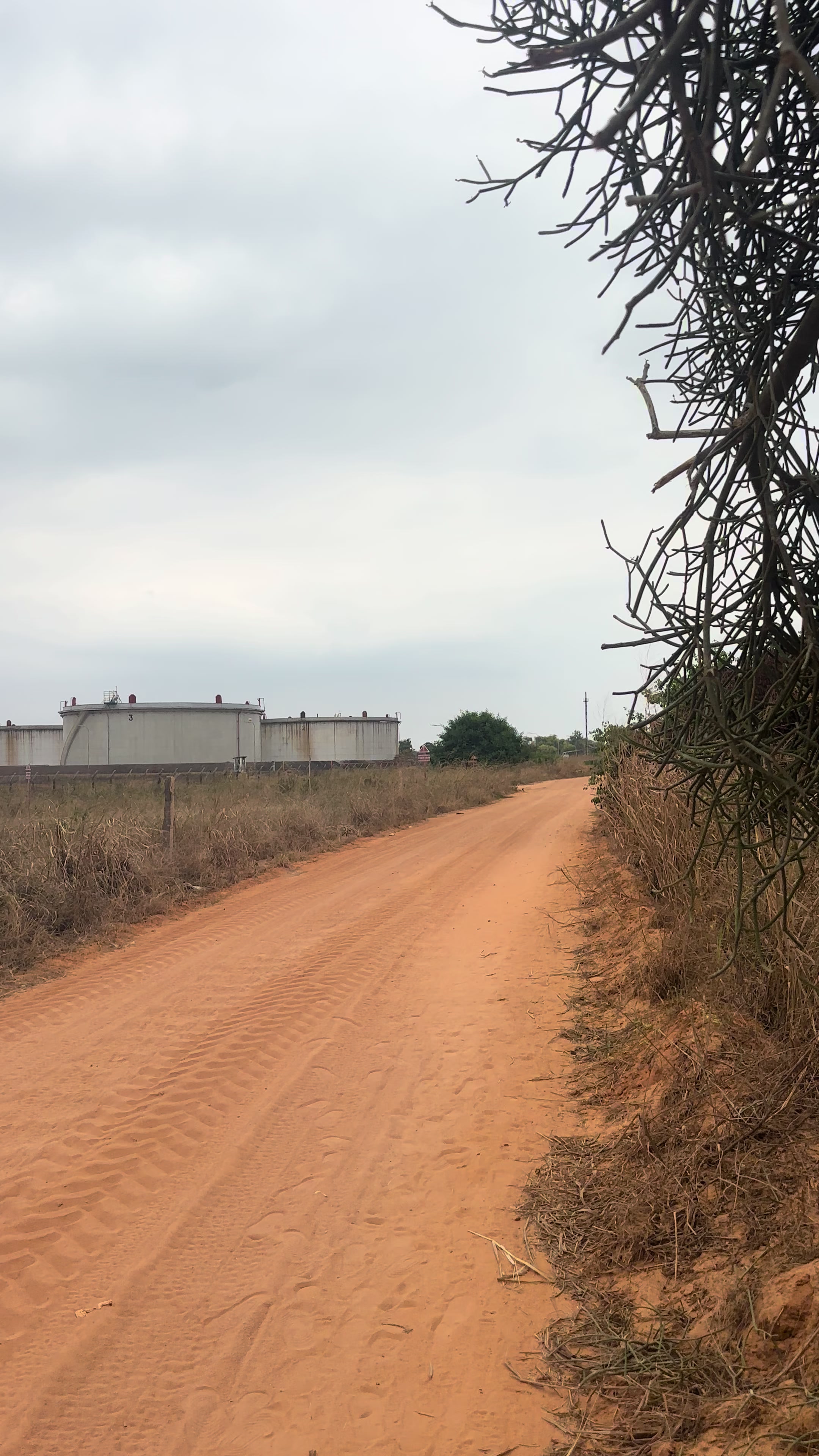 Terrain à vendre à SOCIR (sortie vers le Port en eau profonde, OCC), Muanda
