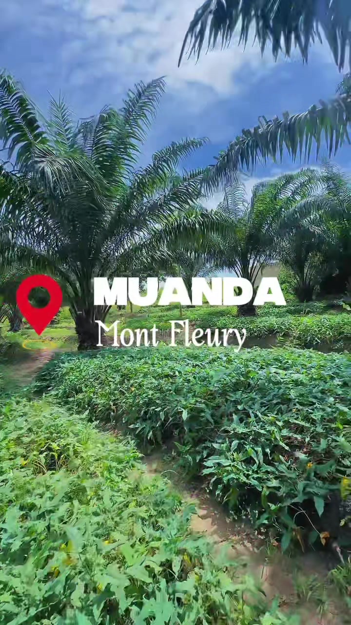 Terrain à vendre à Mont Fleury, Muanda