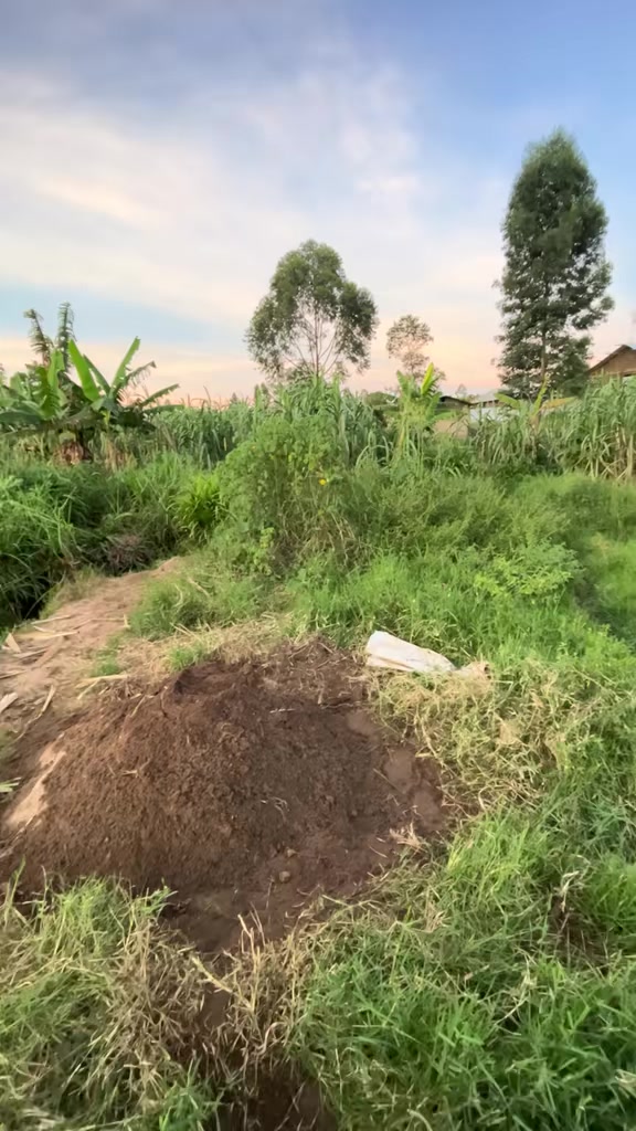 Terrain à vendre à Kanyasi, Bunia