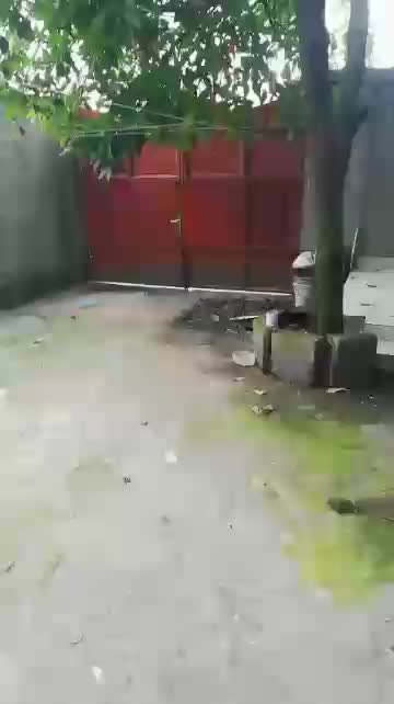 Maison de 4 chambres à vendre à Katindo, Goma
