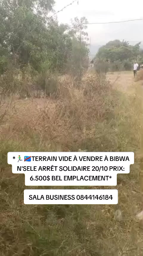 Terrain à vendre à Bibwa, Nsele