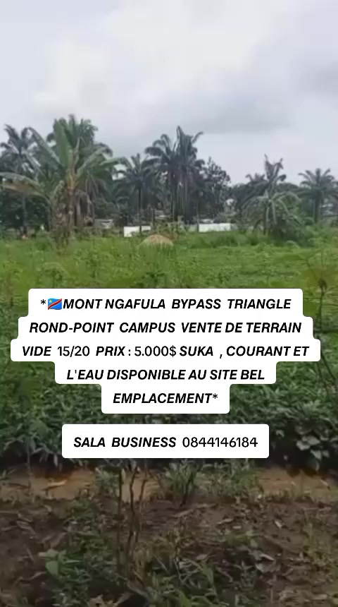 Terrain à vendre à Mont Ngafula