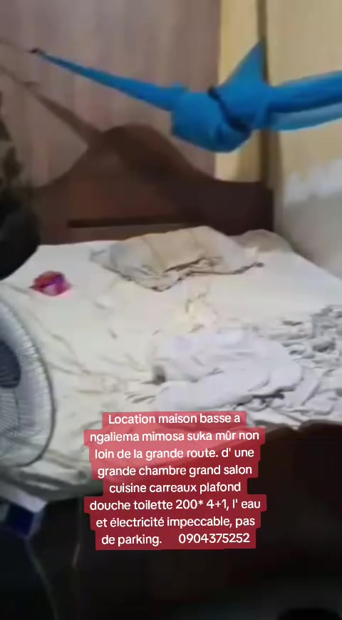Maison d'une chambre à louer à Mimosas, Ngaliema