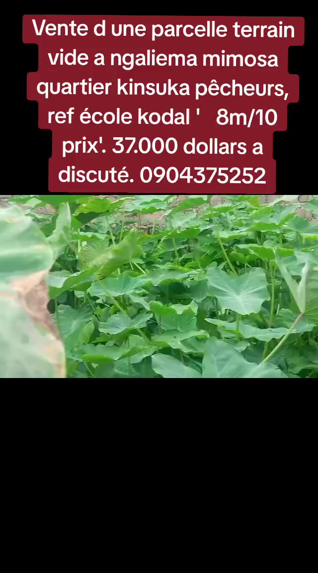 Parcelle à vendre à Kinsuka Pêcheurs, Ngaliema