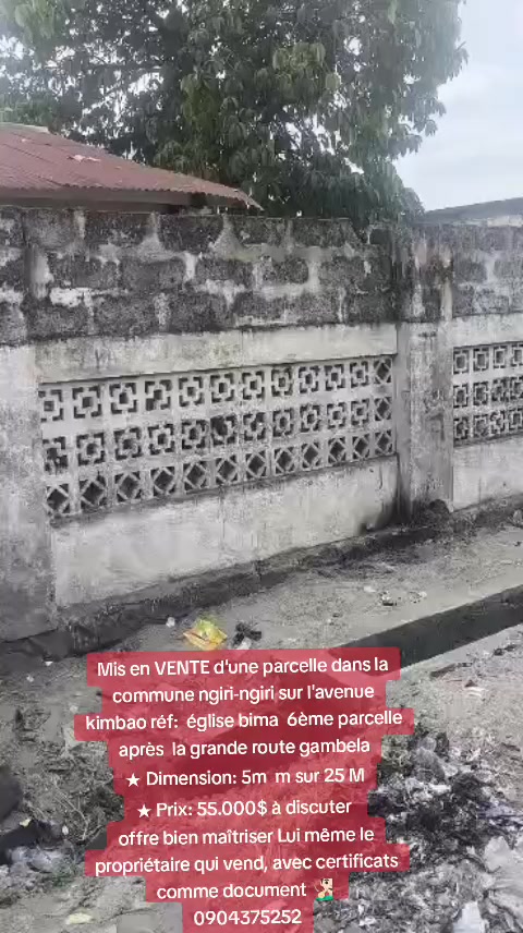 Parcelle à vendre à Ngiri-Ngiri