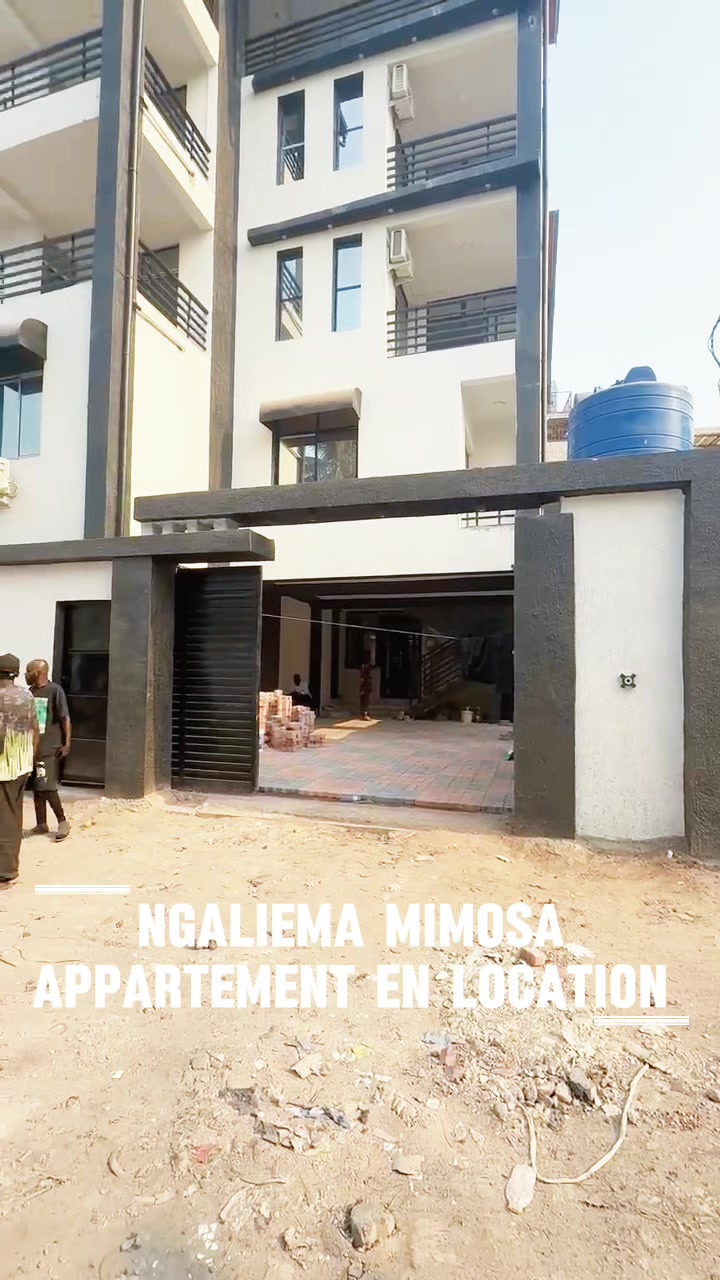 Appartement de 2 chambres à louer à Mimosas, Ngaliema